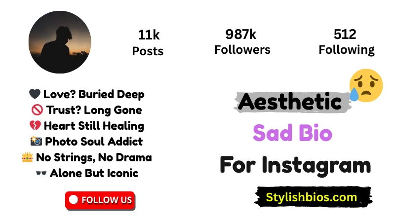 Aesthetic Sad Bio For Instagram