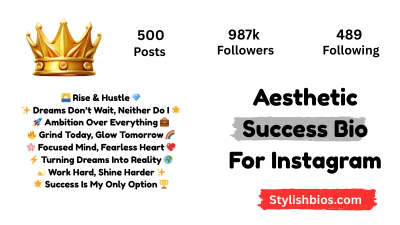 Aesthetic Success Bio For Instagram