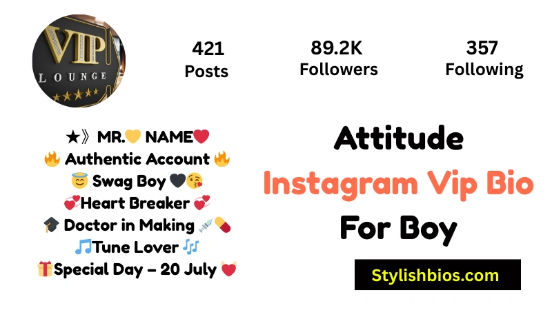 Attitude Instagram Vip Bio For Boy