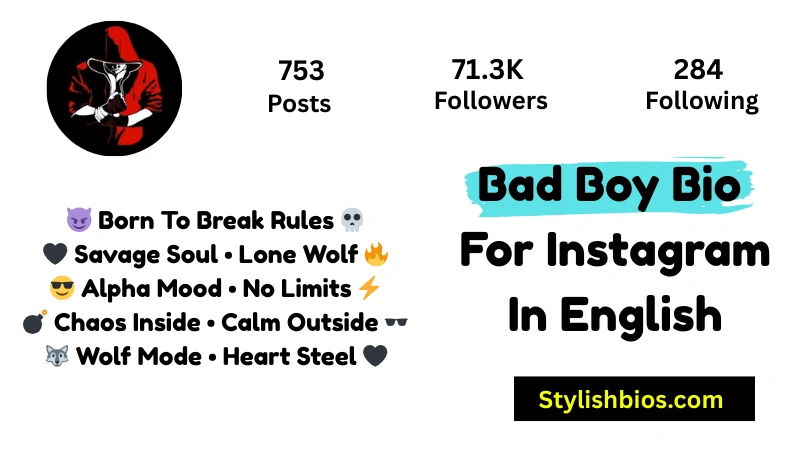 Bad Boy Bio For Instagram In English