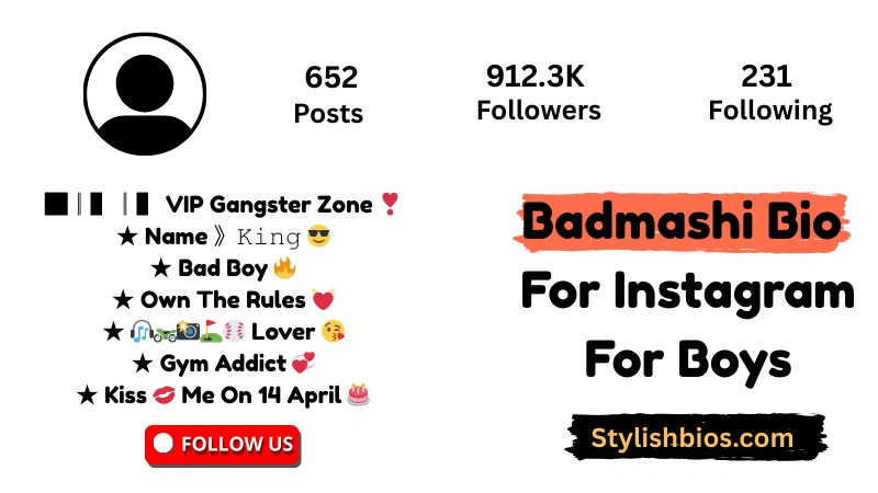 Badmashi Bio For Instagram For Boys