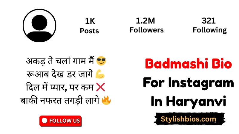 Badmashi Bio For Instagram In Haryanvi