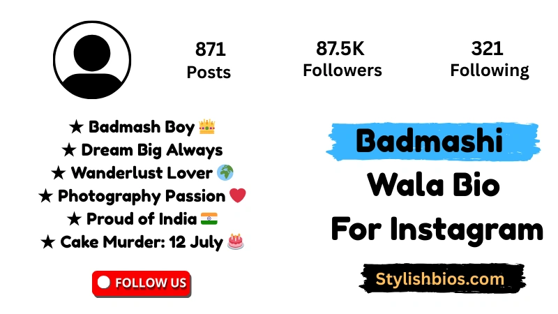 Badmashi Wala Bio For Instagram