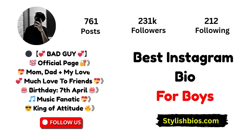 Best Instagram Bio For Boys