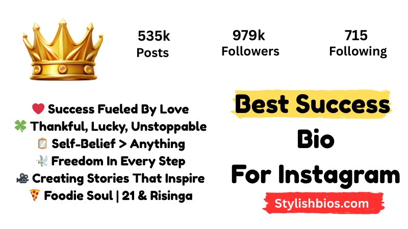 Best Success Bio For Instagram
