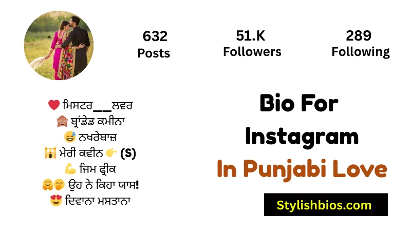 Bio For Instagram In Punjabi Love