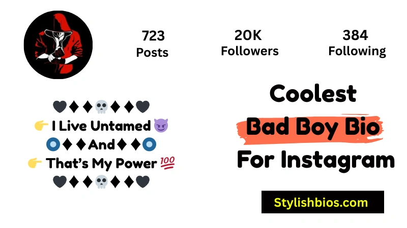 Coolest Bad Boy Bio For Instagram