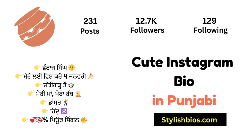Cute Instagram Bio in Punjabi