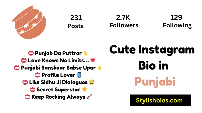 Cute Instagram Bio in Punjabi