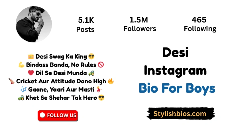 Desi Instagram Bio For Boys