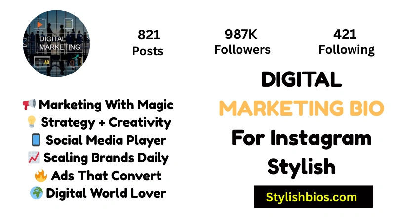 Digital Marketing Bio For Instagram Stylish