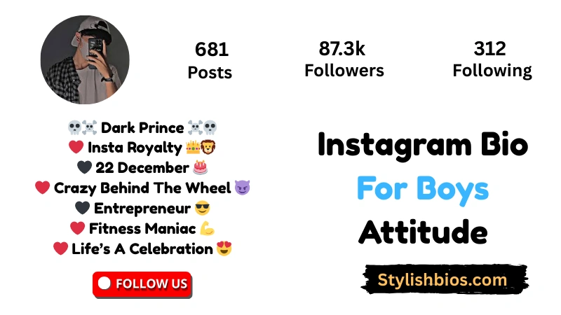 Instagram Bio For Boys Attitude