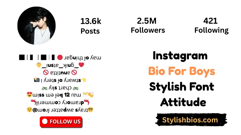 Instagram Bio For Boys Stylish Font Attitude