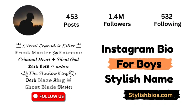 Instagram Bio For Boys Stylish Name