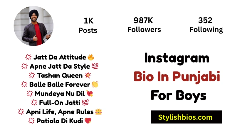 Instagram Bio In Punjabi For Boys