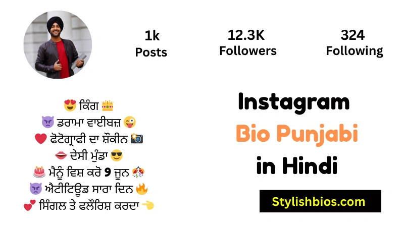 Instagram Bio Punjabi in Hindi