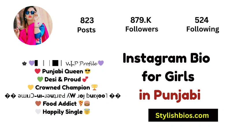 Instagram Bio for Girls in Punjabi