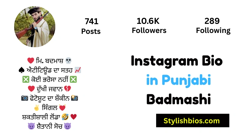 Instagram Bio in Punjabi Badmashi