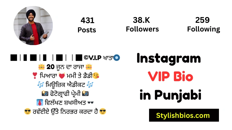 Instagram VIP Bio in Punjabi