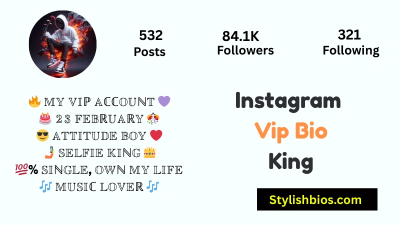 Instagram Vip Bio King