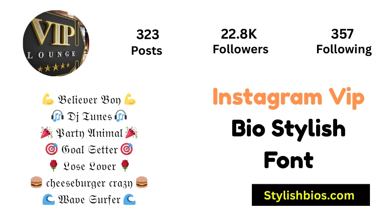 Instagram Vip Bio Stylish Font