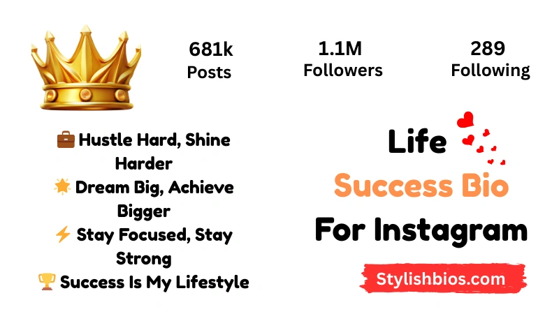 Life Success Bio For Instagram