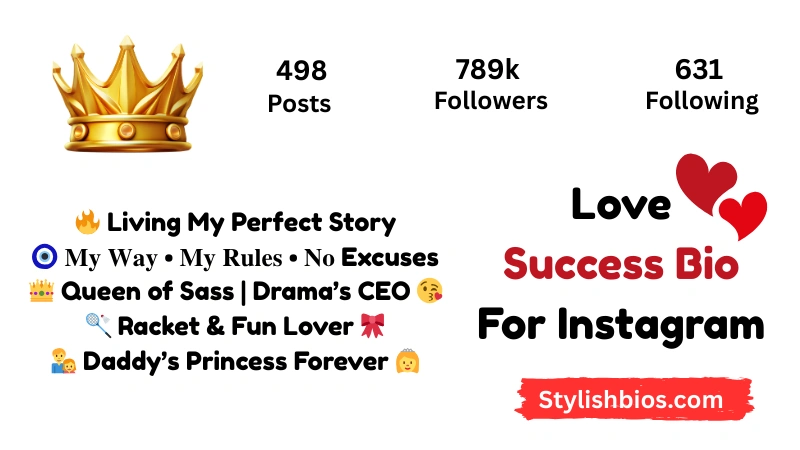 Love Success Bio For Instagram