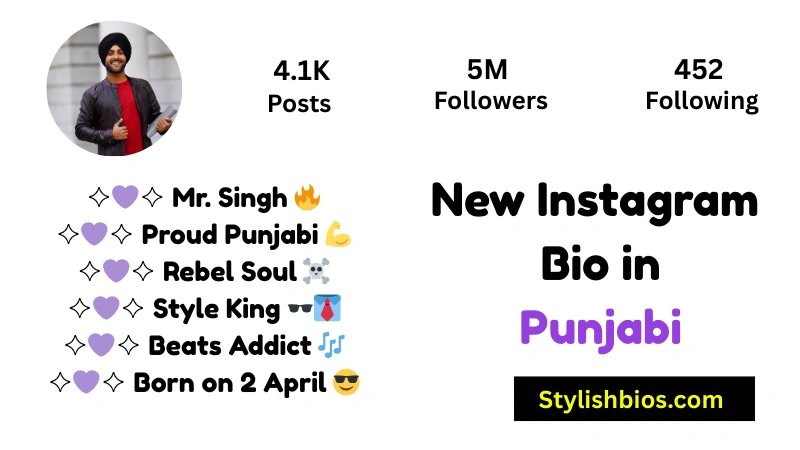 New Instagram Bio in Punjabi