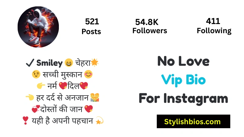 No Love Vip Bio For Instagram