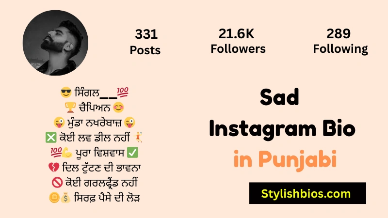 Sad Instagram Bio in Punjabi