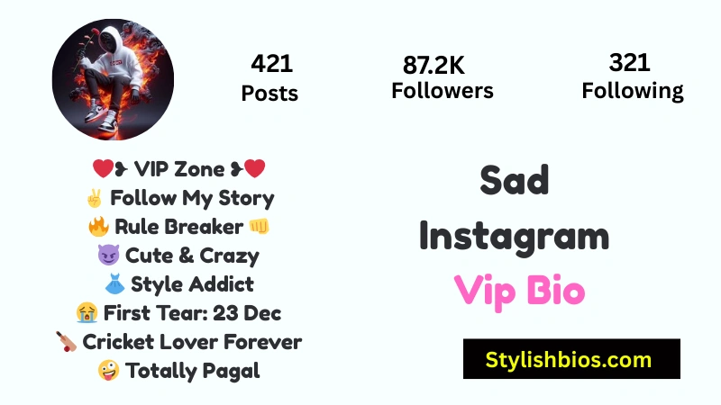 Sad Instagram Vip Bio
