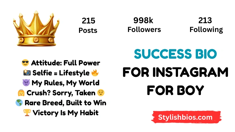 Success Bio For Instagram For Boy