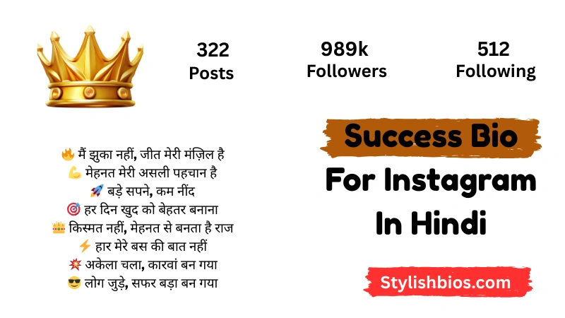 Success Bio For Instagram In Hindi