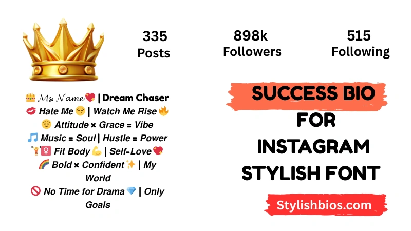 Success Bio For Instagram Stylish Font