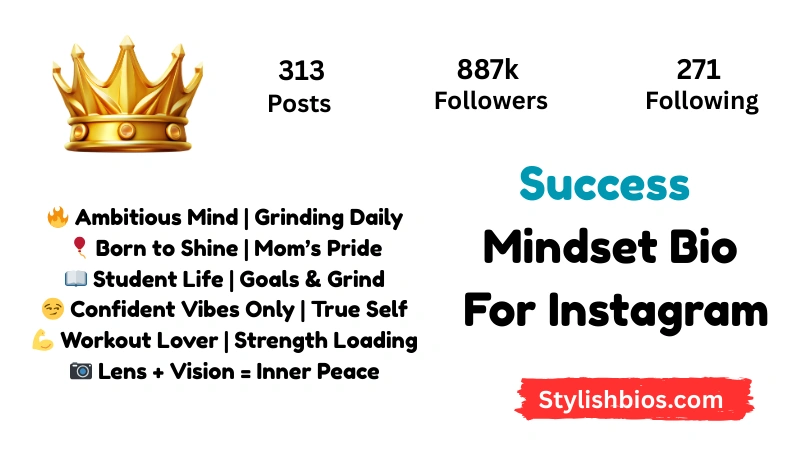 Success Mindset Bio For Instagram