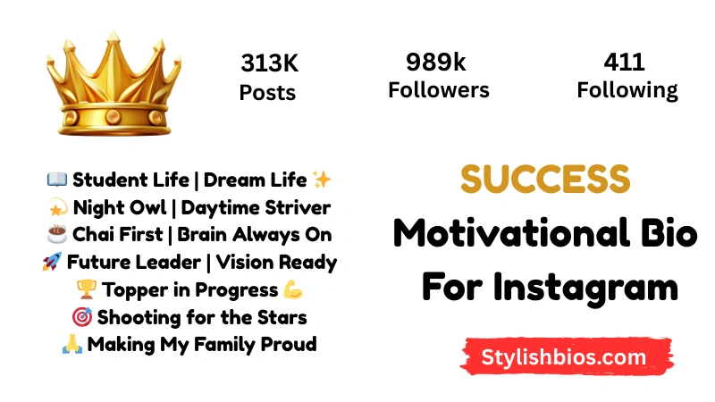 Success Motivational Bio For Instagram
