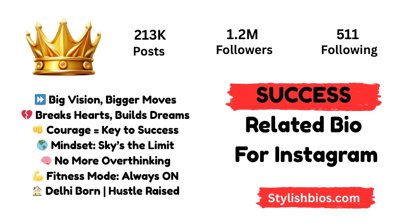 Success Related Bio For Instagram 