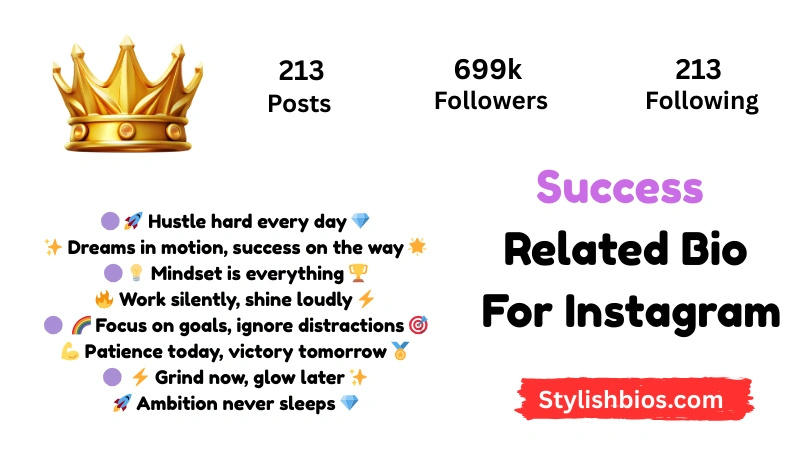 Success Related Bio For Instagram