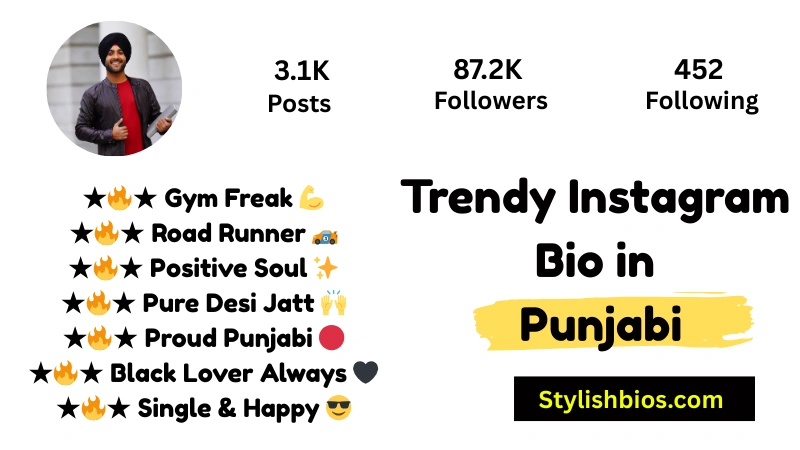 Trendy Instagram Bio in Punjabi