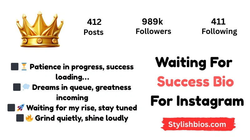 Waiting For Success Bio For Instagram