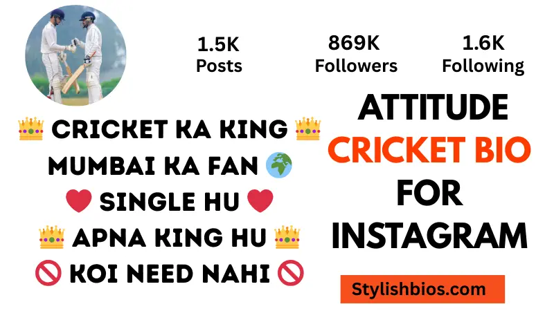 attitude cricket bio for instagram