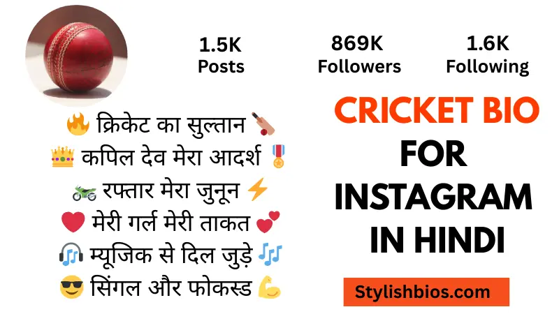 cricket bio for instagram in hindi