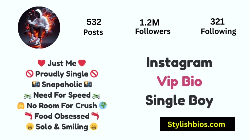 Instagram Vip Bio Single Boy