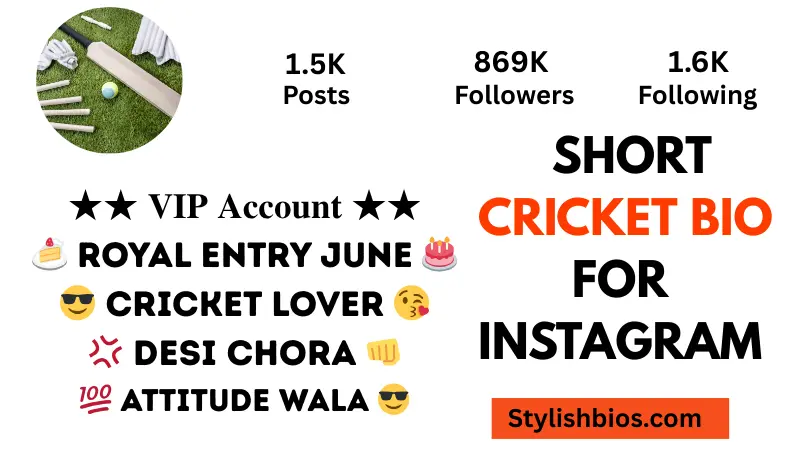 short cricket bio for instagram