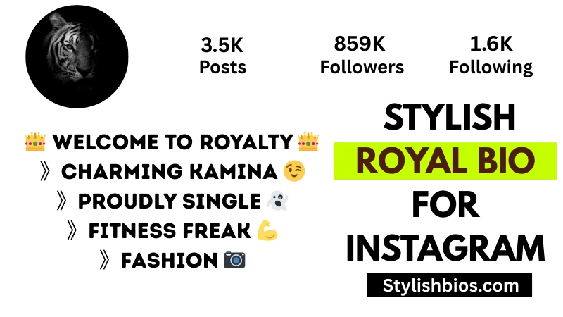 stylish royal bio for Instagram