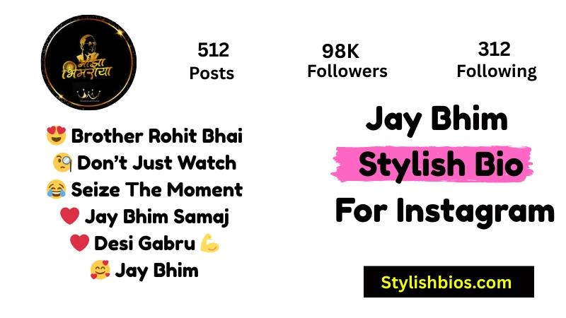 Jay Bhim Stylish Bio For Instagram