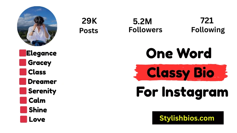 One Word Classy Bio For Instagram