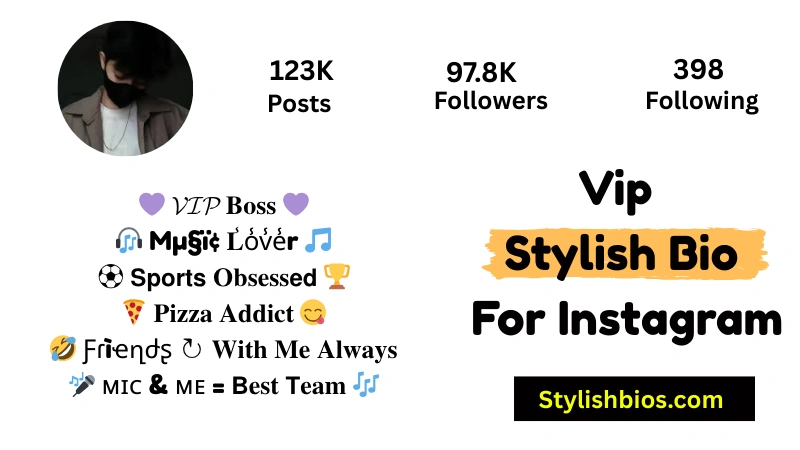 Vip Stylish Bio For Instagram