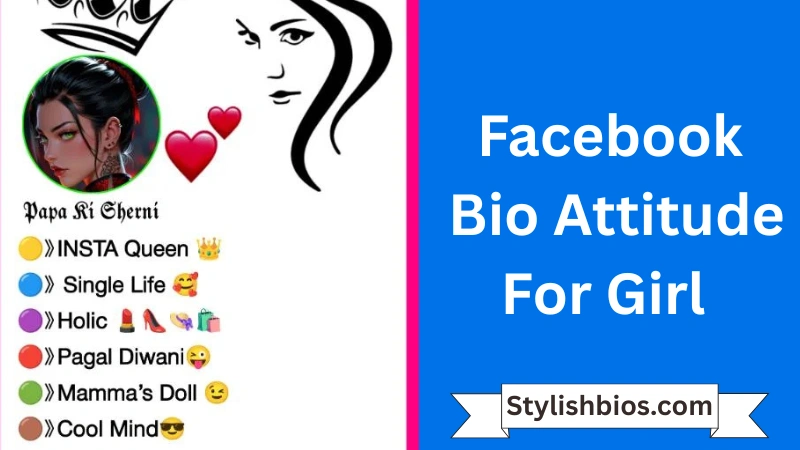 Facebook Bio Attitude For Girl