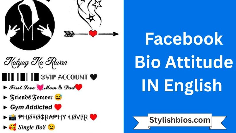 Facebook Bio Attitude In English